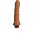 /album/vibradores/protese-com-vibro-jpg/